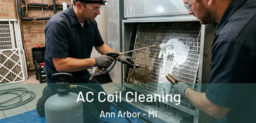 AC Coil Cleaning Ann Arbor - MI