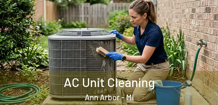 AC Unit Cleaning Ann Arbor - MI